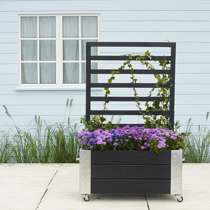 Cubic sort Blomsterkasse med espalie