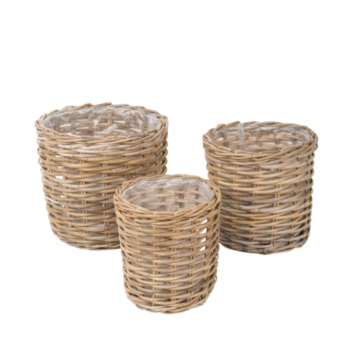 Plantekurv fra Skinbjerg