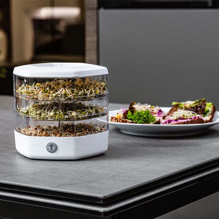 spirer og mikrogrønt dyrket derhjemme