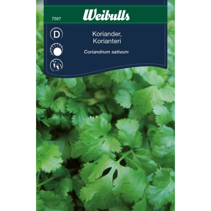 koriander frø
