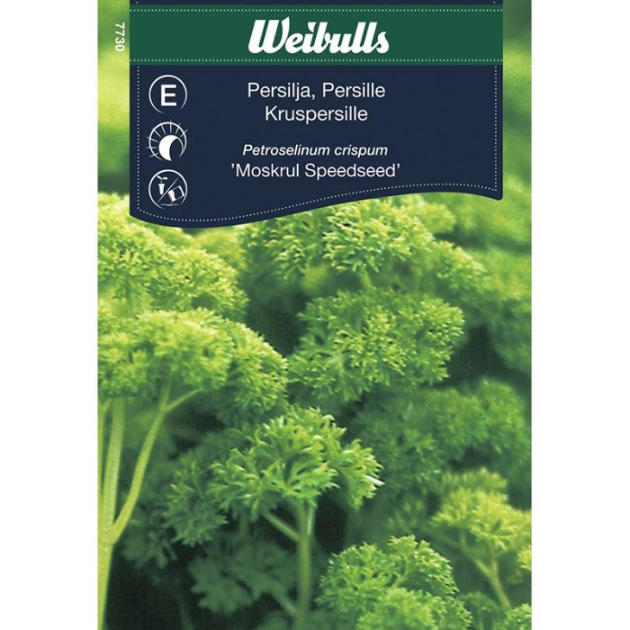 Persillefrø Kruspersille Moskrul Speedseed