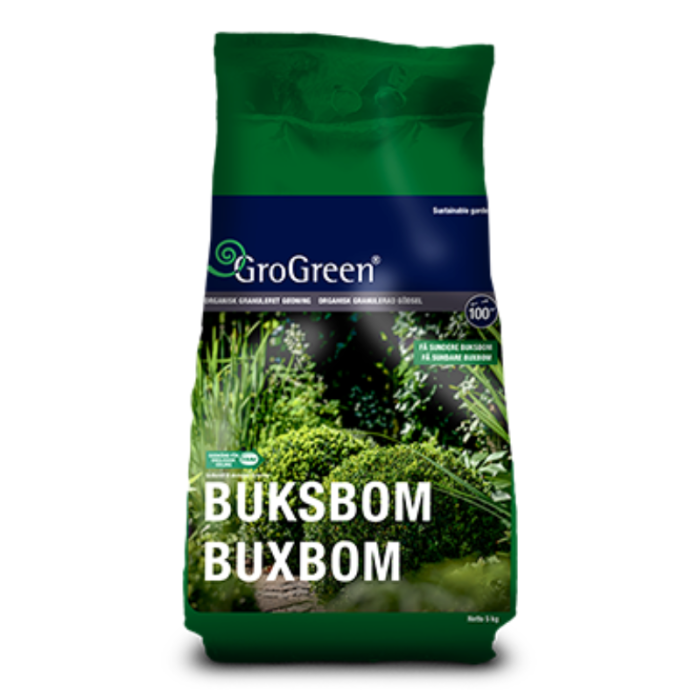 Buksbom Buxbom
