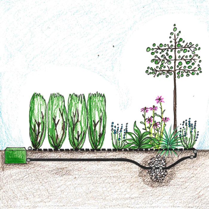 Drypvanding bed og hæk