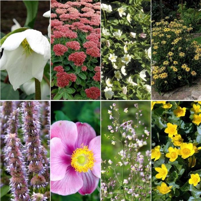 Insektvenligt Færdigbed - 3 kvm

