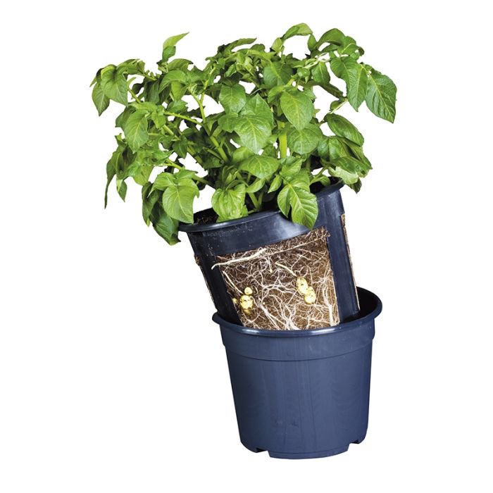 praktisk kartoffelpotte