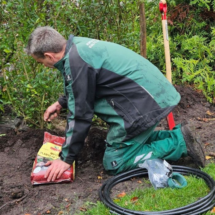 Gartner planter luksushæk