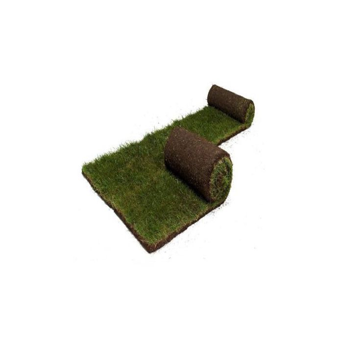 Rullegræs almindelig Villahave