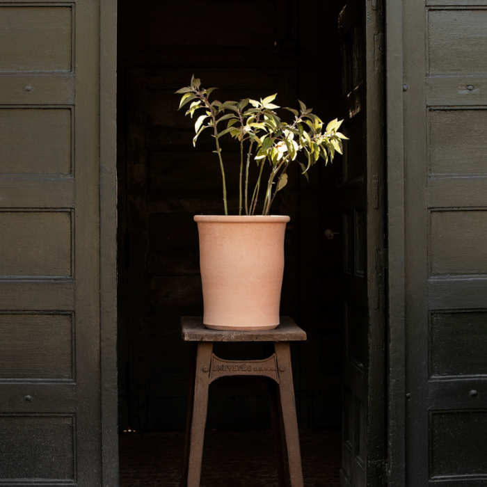 Solina krukke fra Lerkenfeldt