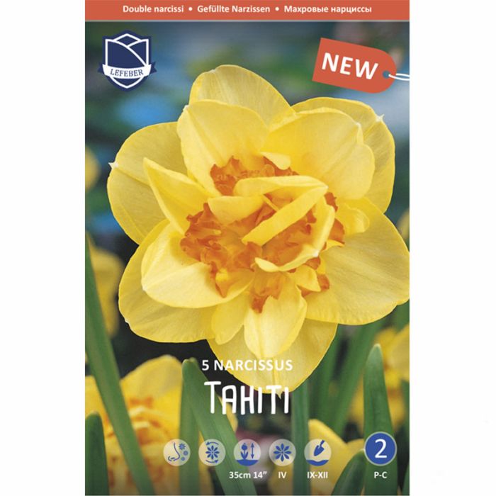 ÅSKELILJELØG NARCISSUS TAHITI