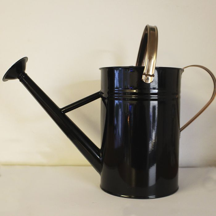 Vandkande kent & stowe sort