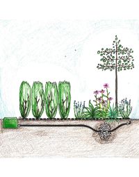 Drypvanding bed og hæk