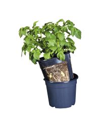 praktisk kartoffelpotte