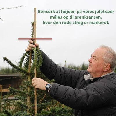 M&aring;l af juletr&aelig;