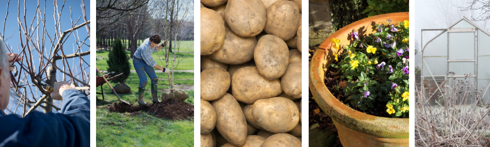 Haven i februar Haven i februar