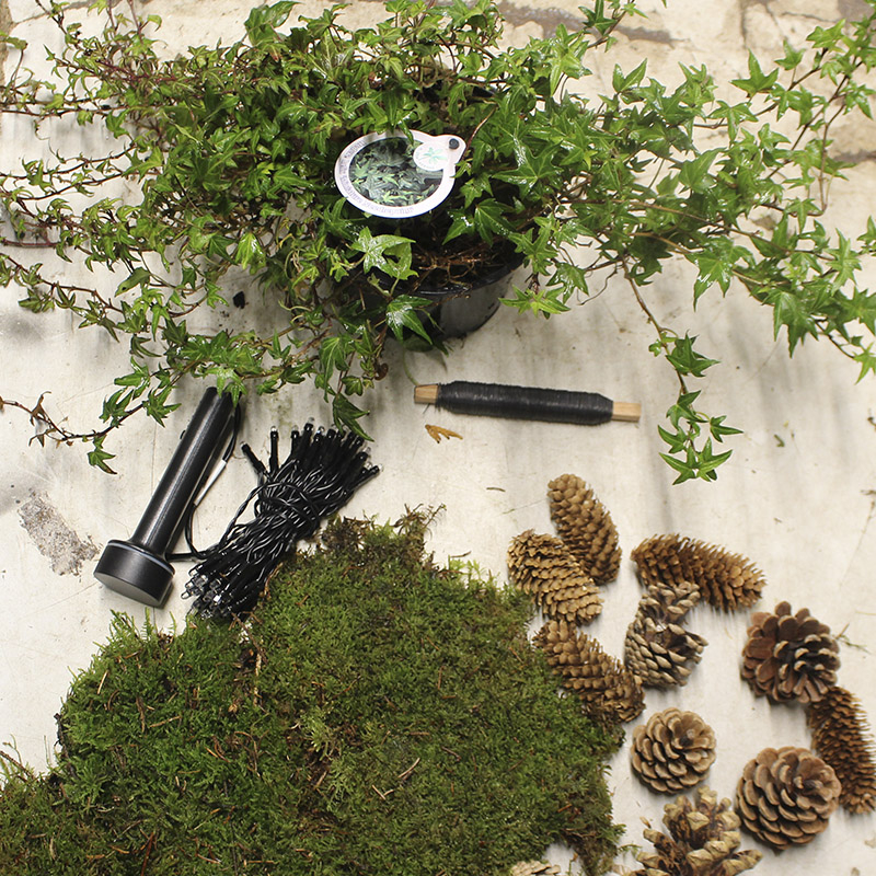 Materialer til efeu dekoration