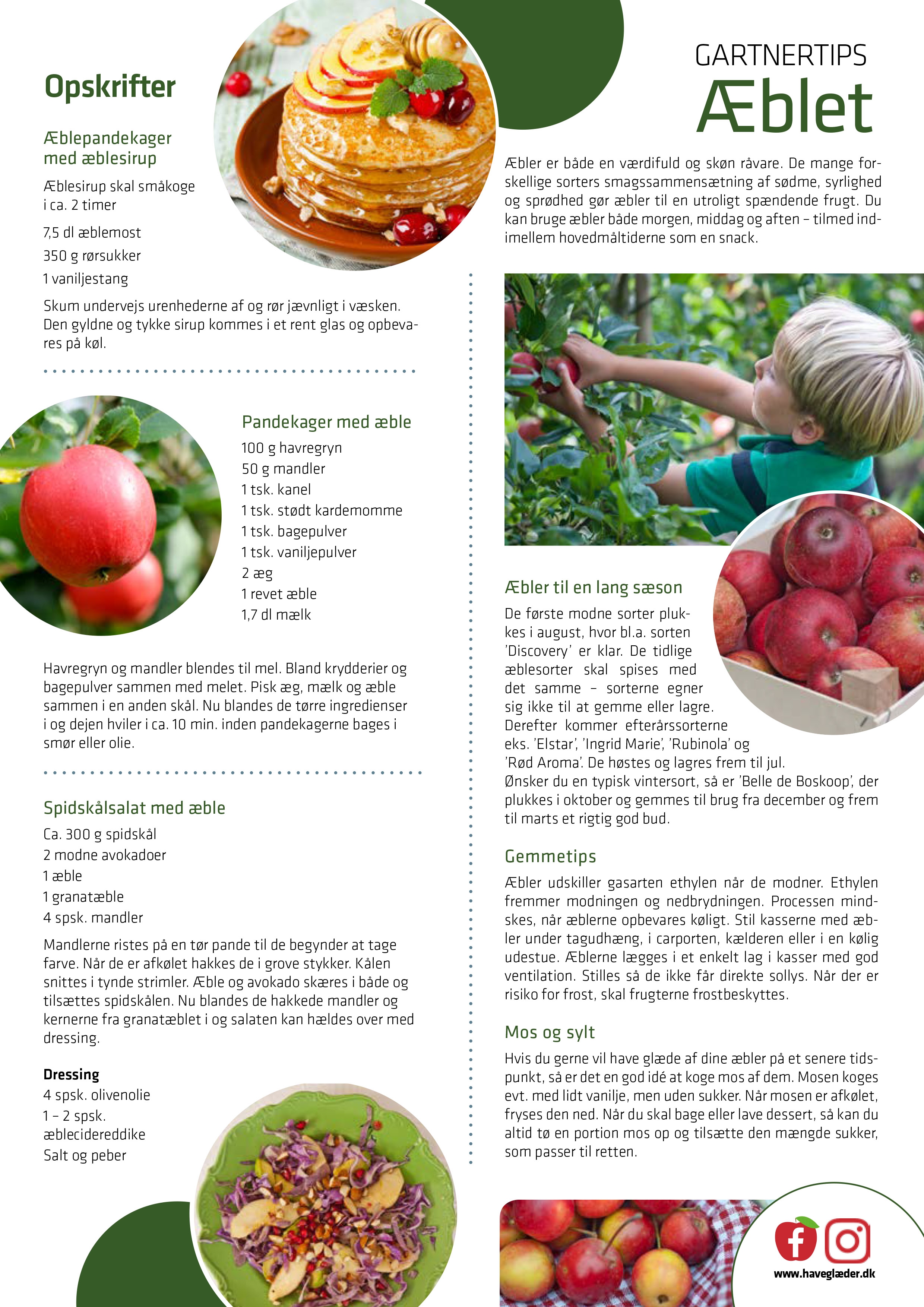 Opskrifter til og tips om æbler