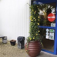 Susanne med det sorte øje