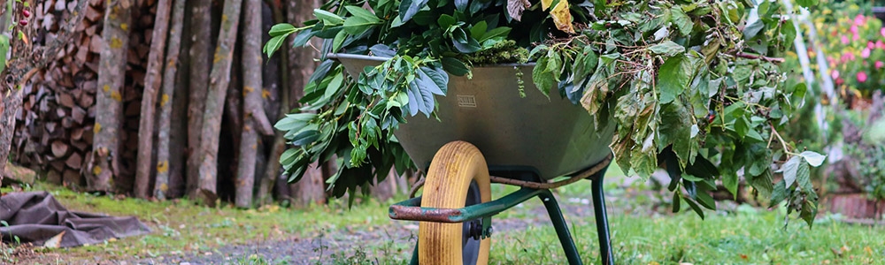 Forbered haven på efteråret