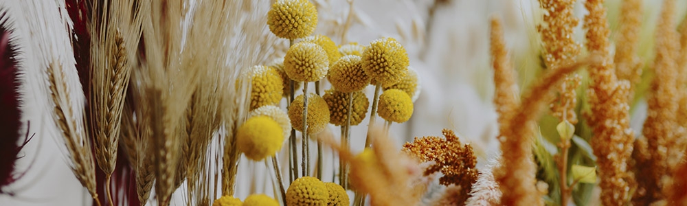 Tørrede blomster til evighedsbuketter