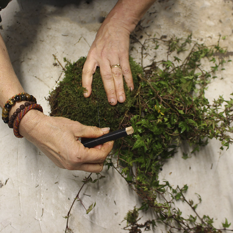 Bind mos fast om rodklumpen