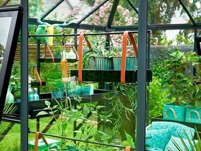 Juliana drivhushylde