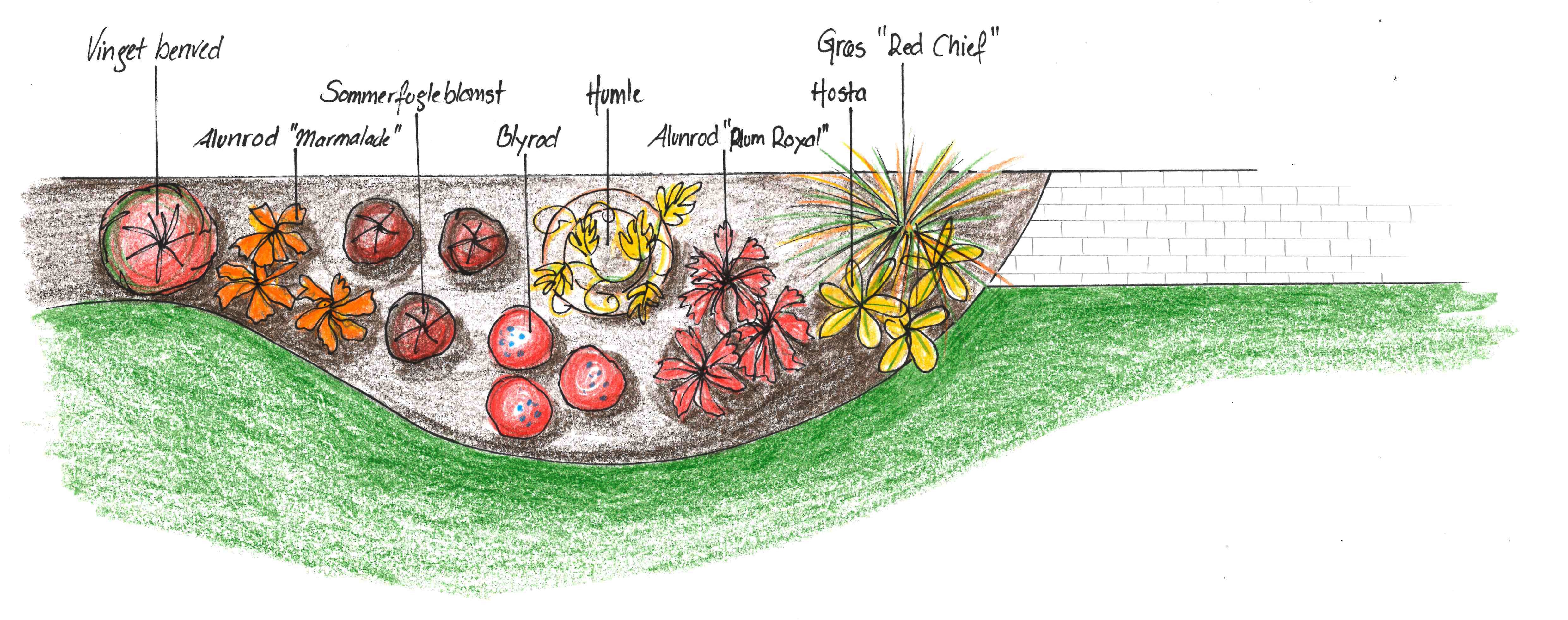 efterårshave oppe fra