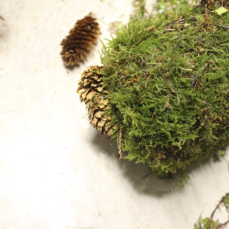 Bind metaltråd fast om kogle