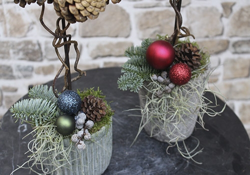 Kogletræer i andre farver