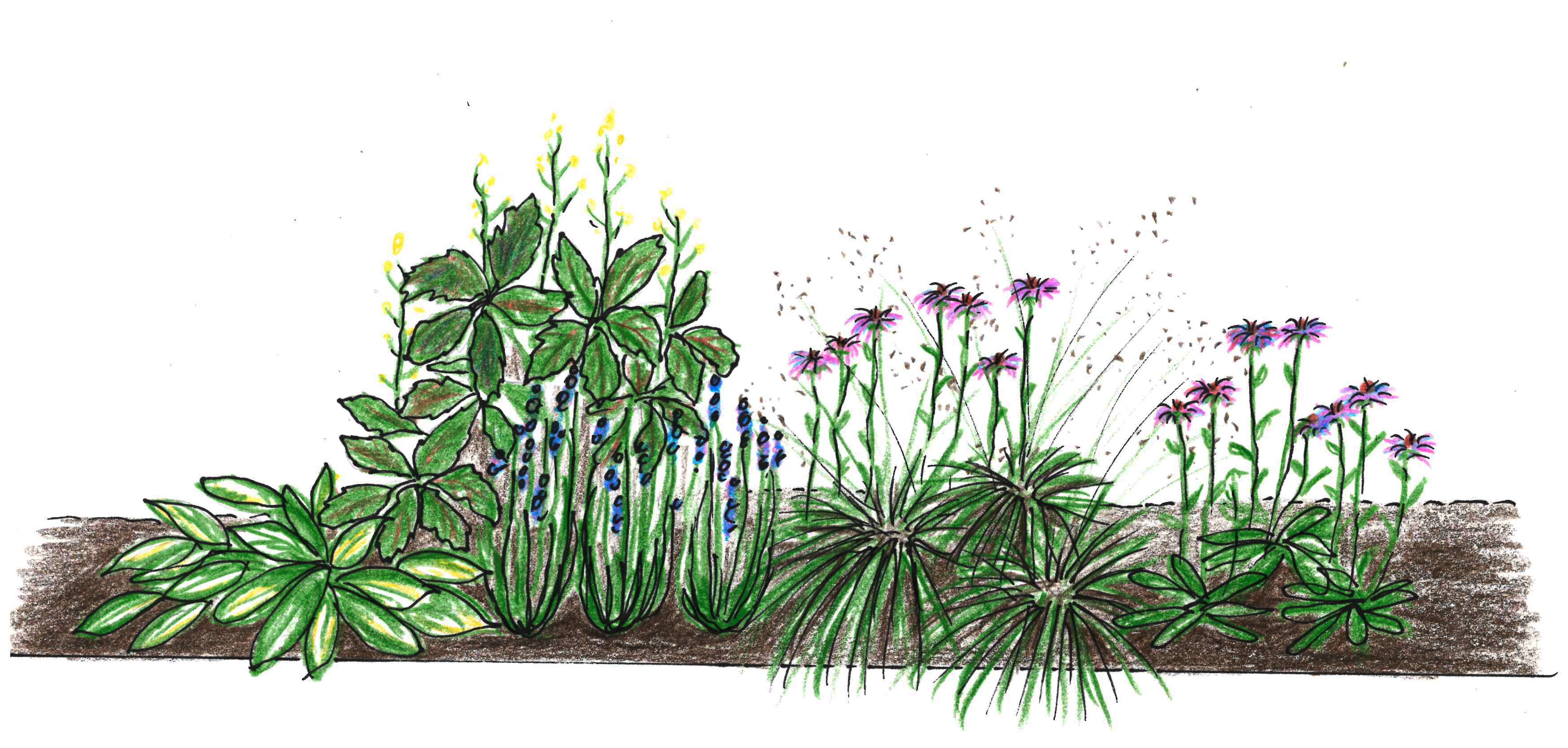 Regnvandsbed forslag fra siden