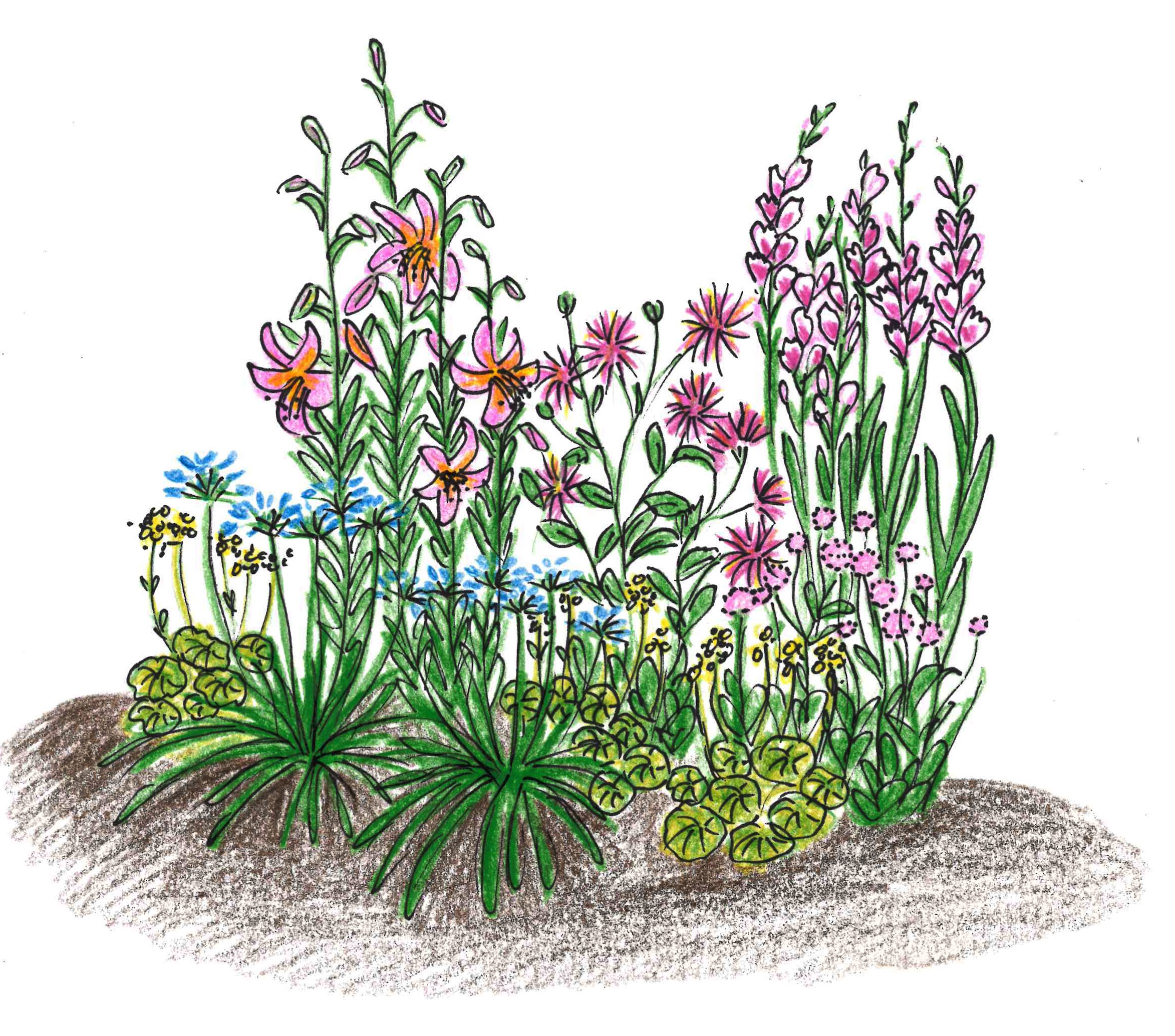 Romantisk bed med sommerløg