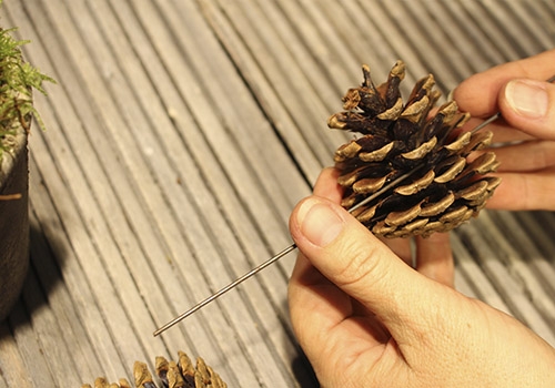 Trådning af kogle 1