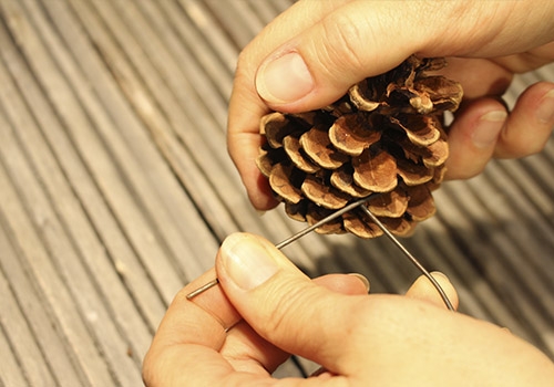 Trådning af kogle 3