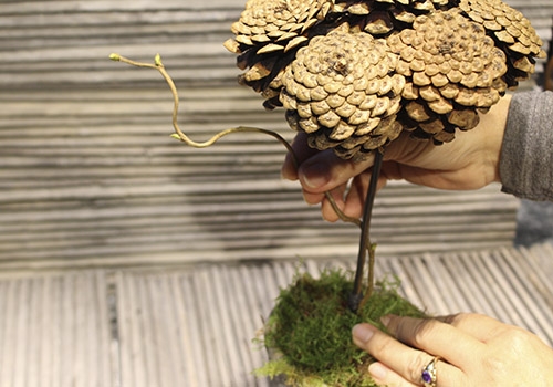 Kogletræer - Sno troldgrene om stammen